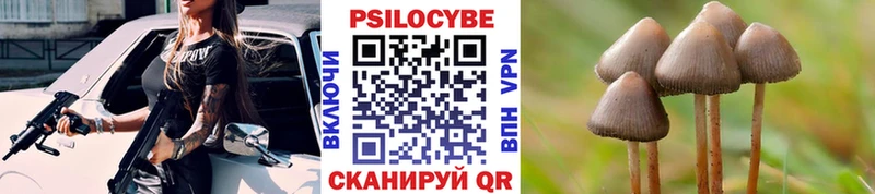 blacksprut сайт  купить наркотик  Томари  Галлюциногенные грибы GOLDEN TEACHER 